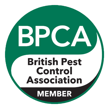 BPCA-member-logo